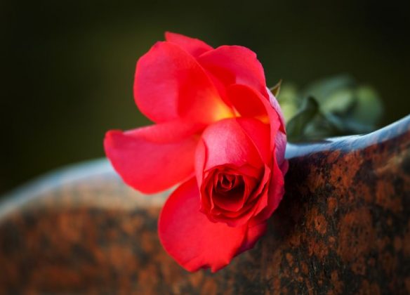 Choisir une composition florale pour un enterrement