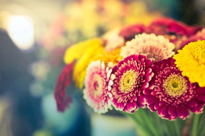 boutique de fleurs